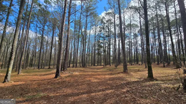 $585,000 | 7581 Old Zebulon Road, Molena, GA 30258