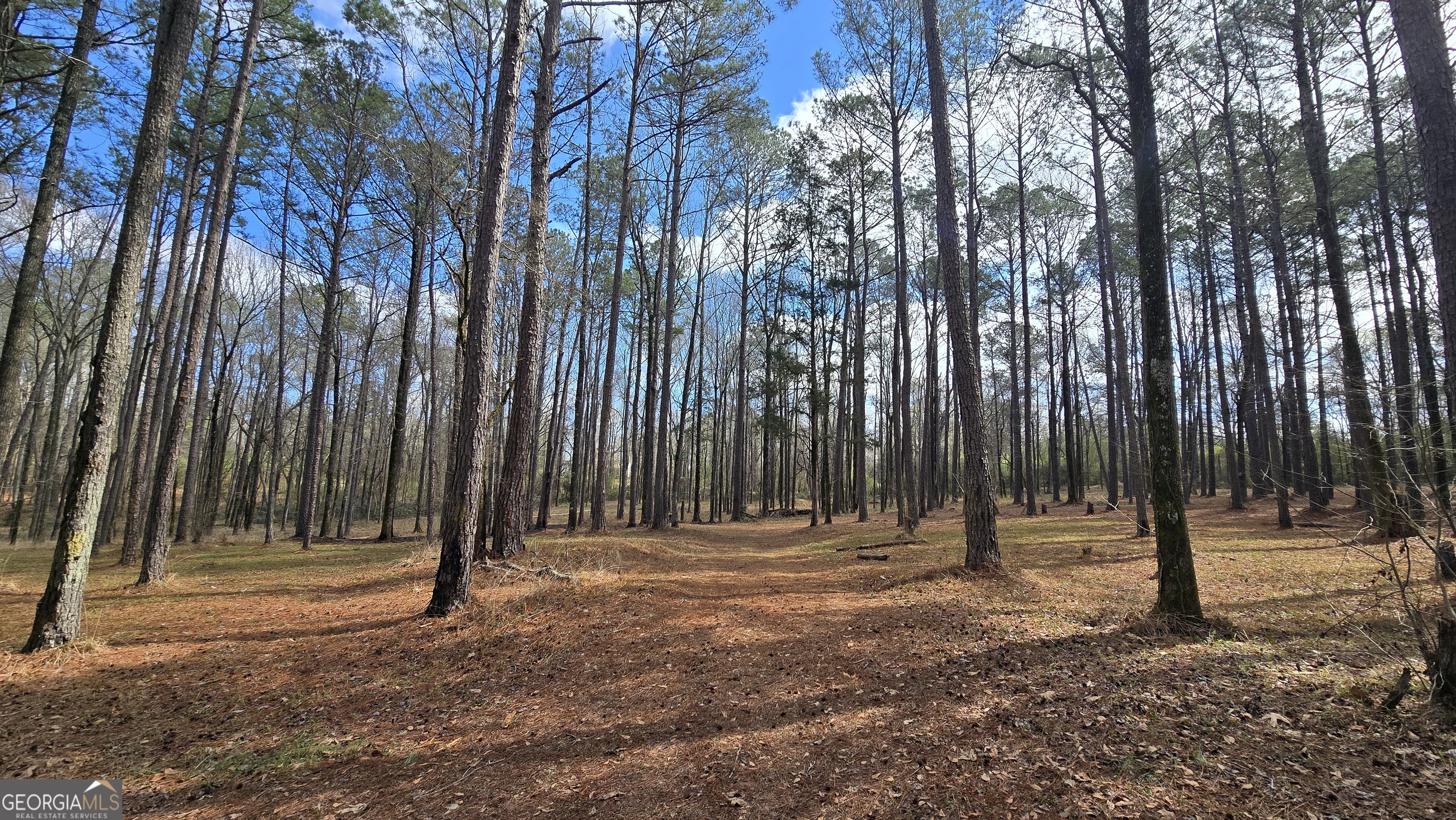 7581 Old Zebulon Road Molena, GA 30258 - Photo 74 of 79 a backyard of a house with lots of trees