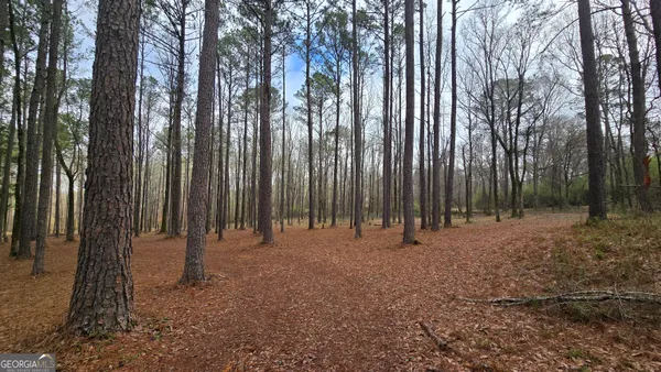 $585,000 | 7581 Old Zebulon Road, Molena, GA 30258