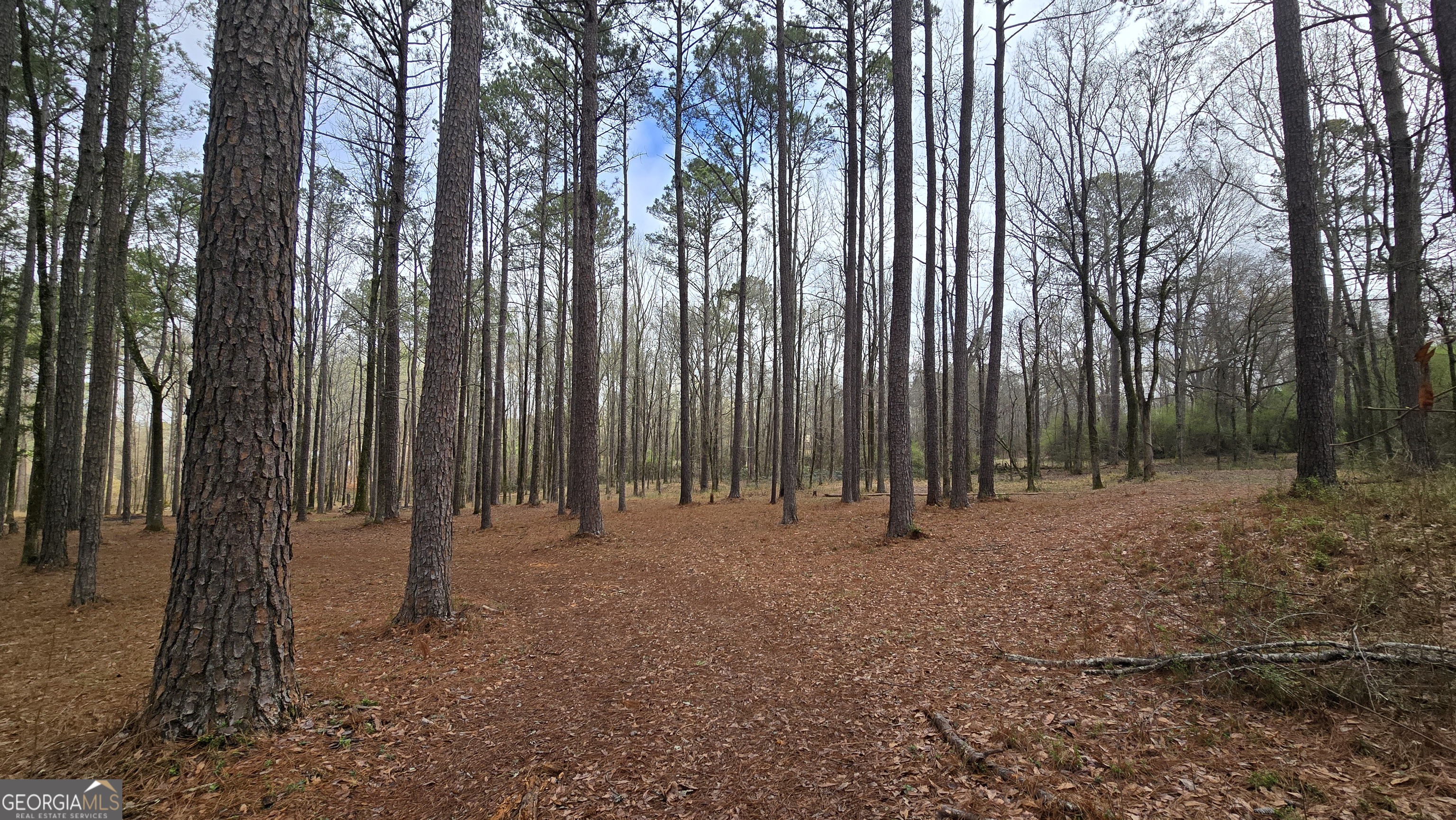 7581 Old Zebulon Road Molena, GA 30258 - Photo 75 of 79