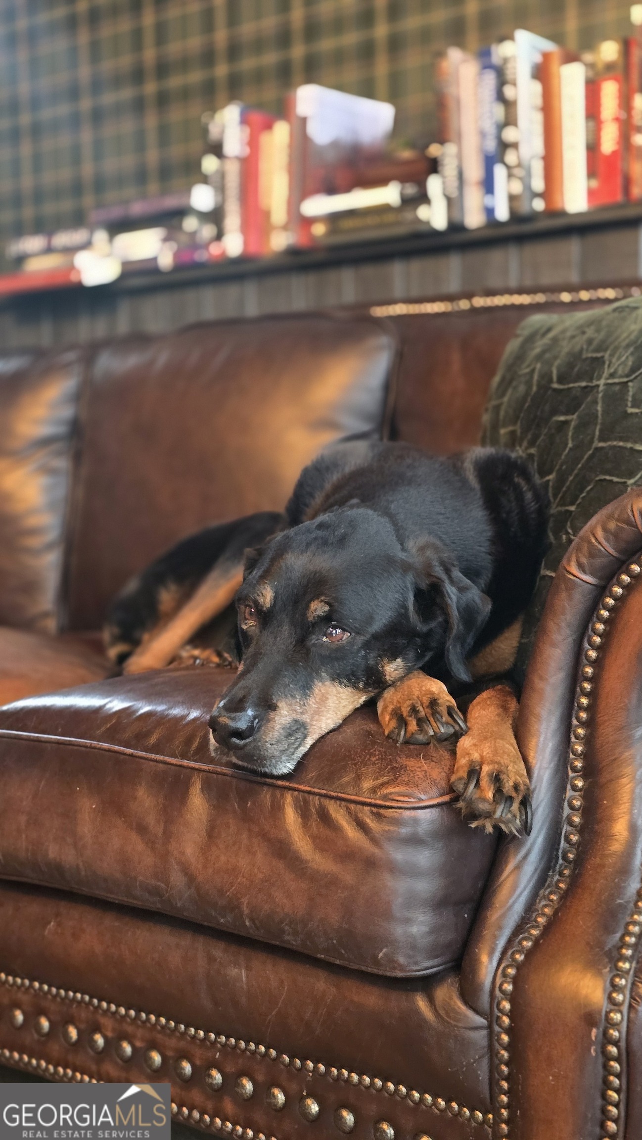 7581 Old Zebulon Road Molena, GA 30258 - Photo 78 of 79