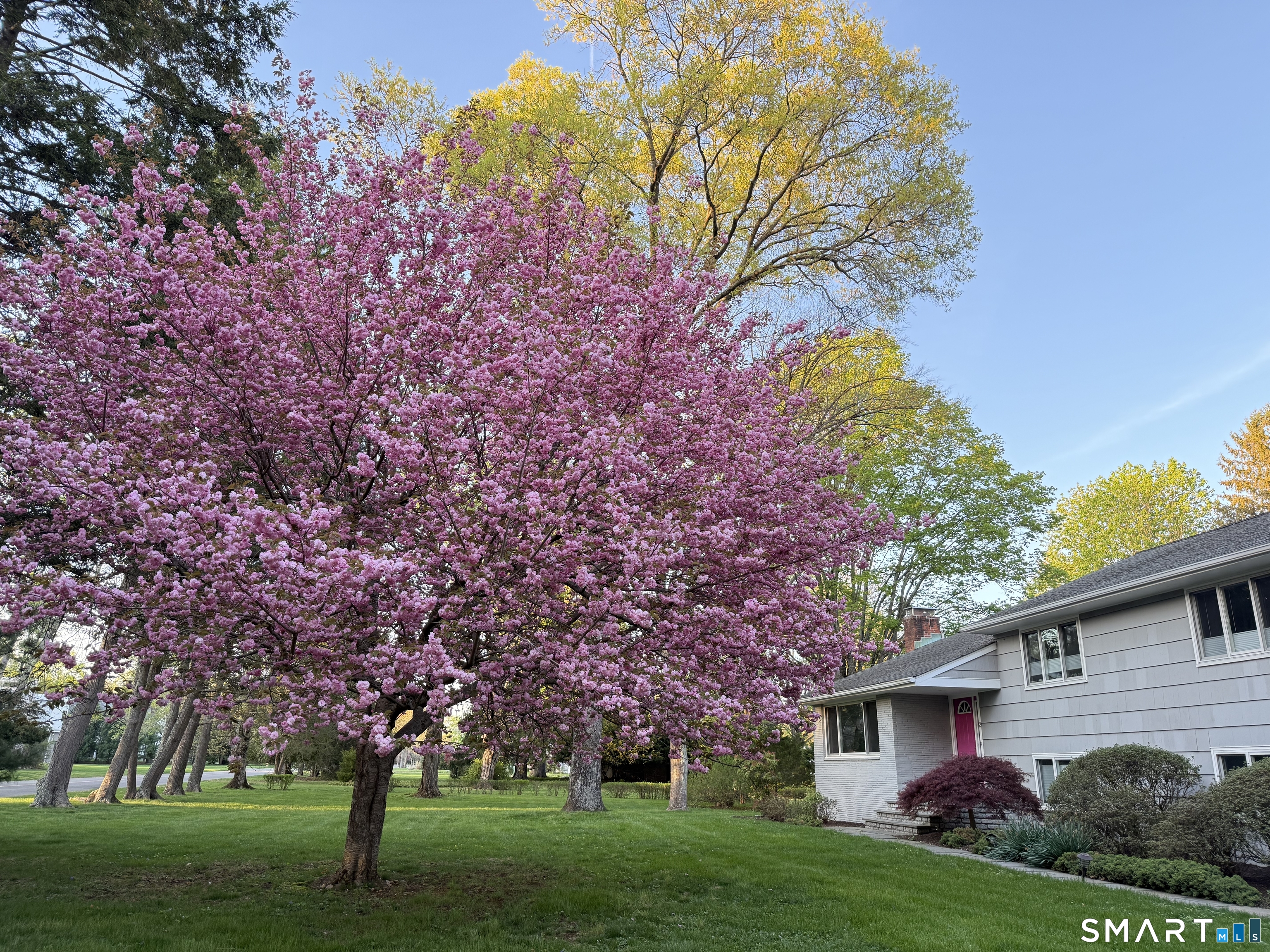 2 Rockyfield Road Westport, CT 06880 - Photo 38 of 40 Stunning flowering tree welcomes family and friends in the spring
