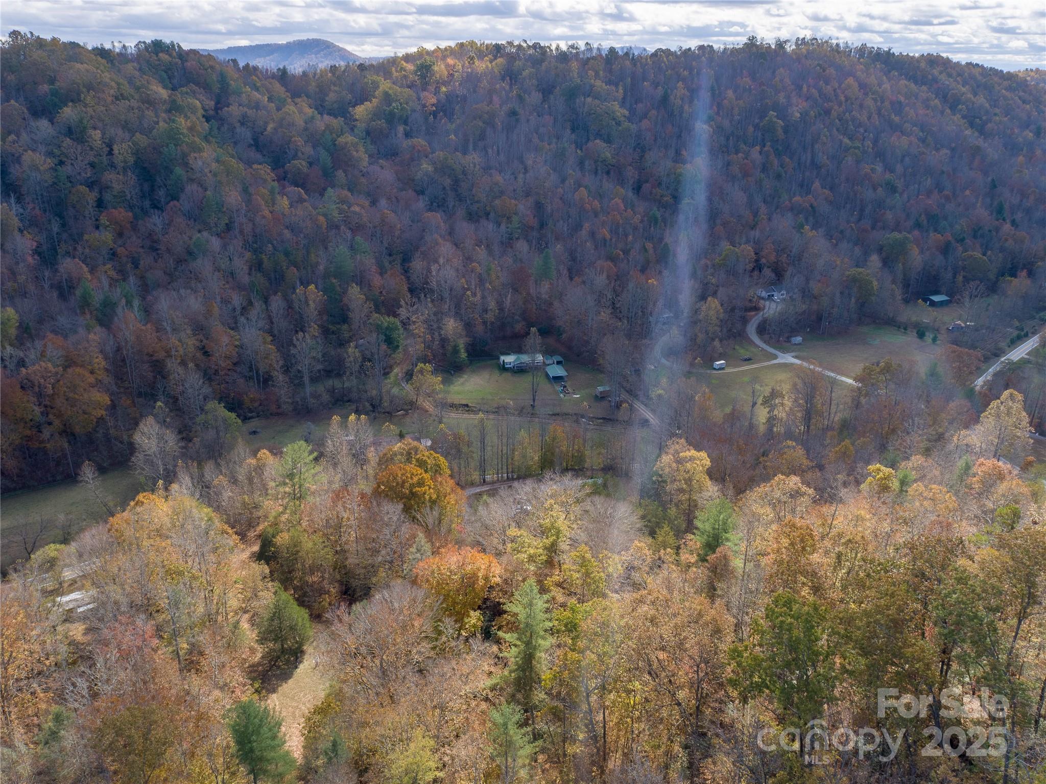 1922 Zacks Fork Road Lenoir, NC 28645 - Photo 7 of 27 a view of a forest with a street