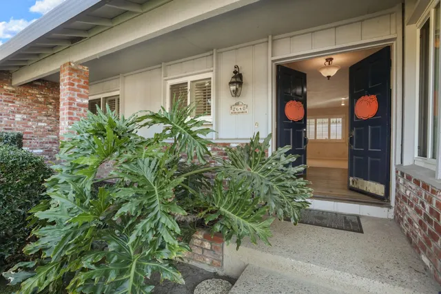 a front view of a house with a potted plant and floor to ceiling window and potted plants