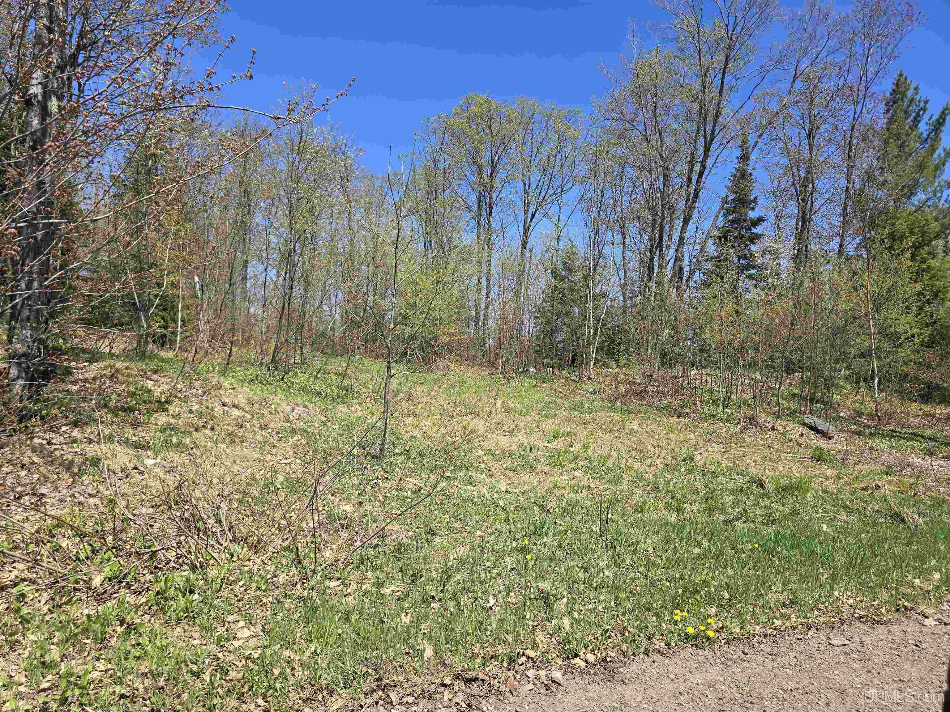 Tbd Murphy Road Covington, MI 49919 - Photo 8 of 57