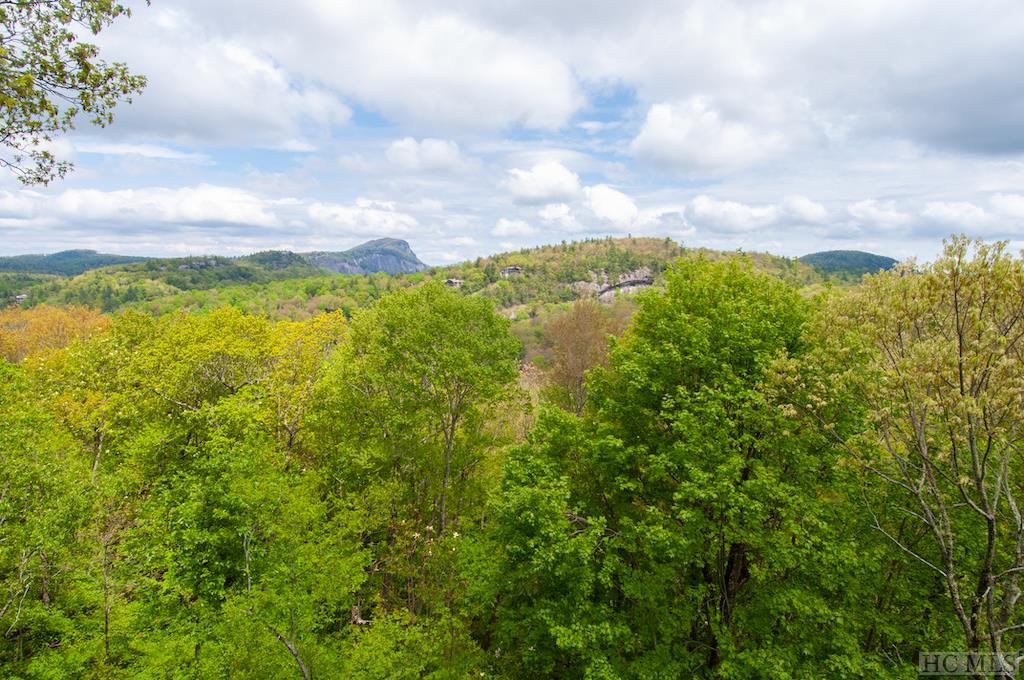 37 Bonnevista Road Highlands, NC 28741 - Photo 6 of 43 Gallery Image 6