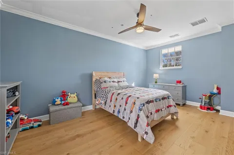 a view of a park with large trees