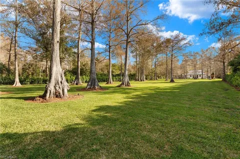 a view of a park with tree s