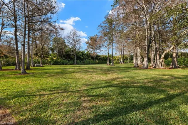 a view of a garden with a fountain