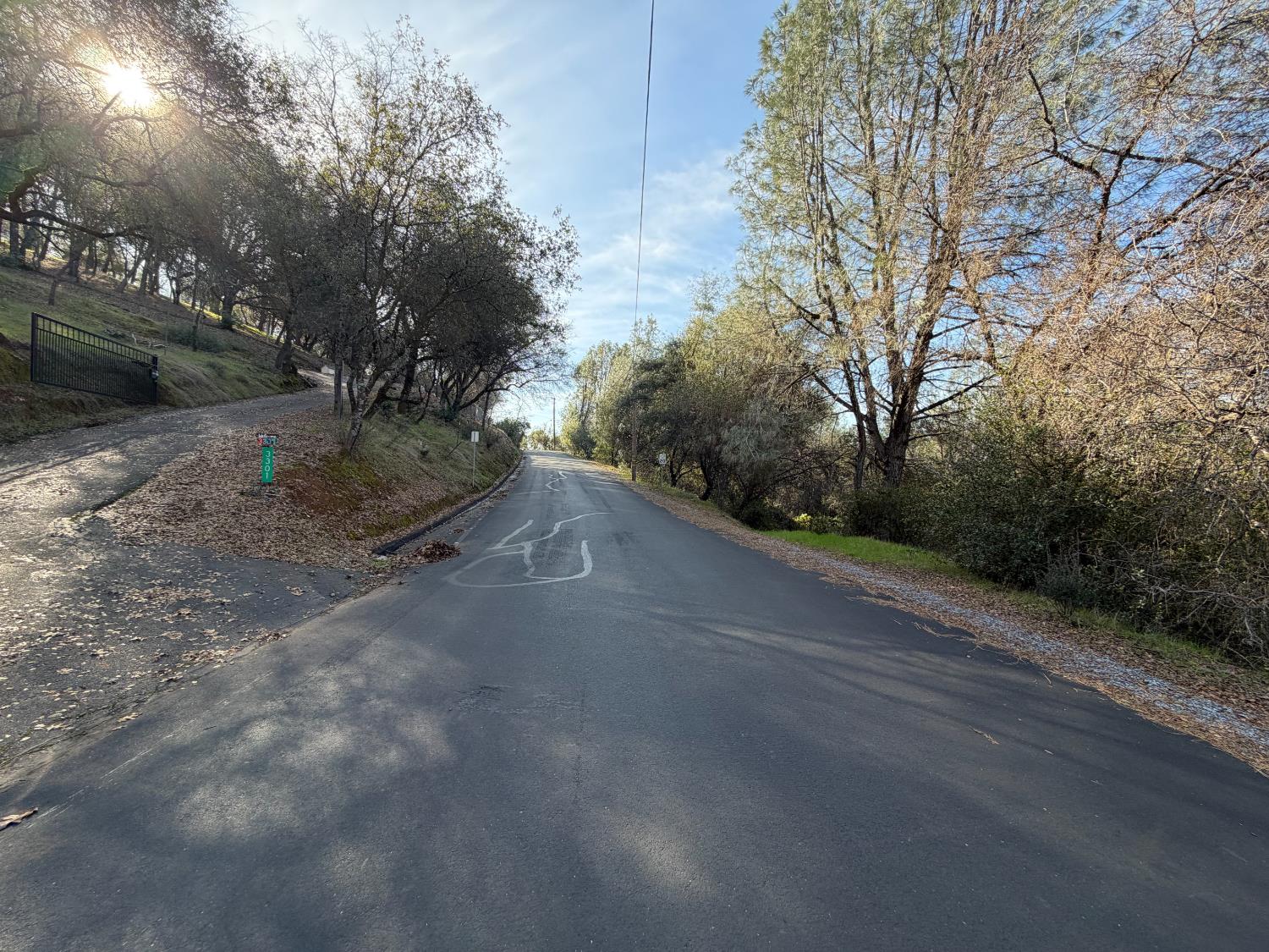 3301 Ahwahnee Way Cool, CA 95614 - Photo 2 of 5 a view of a yard with plants and trees