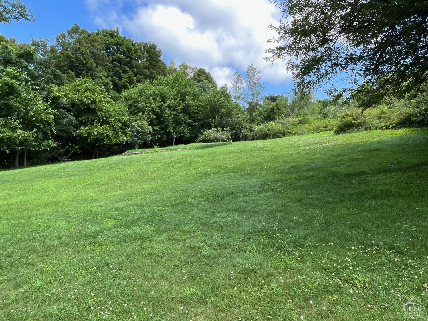 926 Smithfield Road Millerton, NY 12546 - Photo 18 of 27 a view of a field of grass and trees