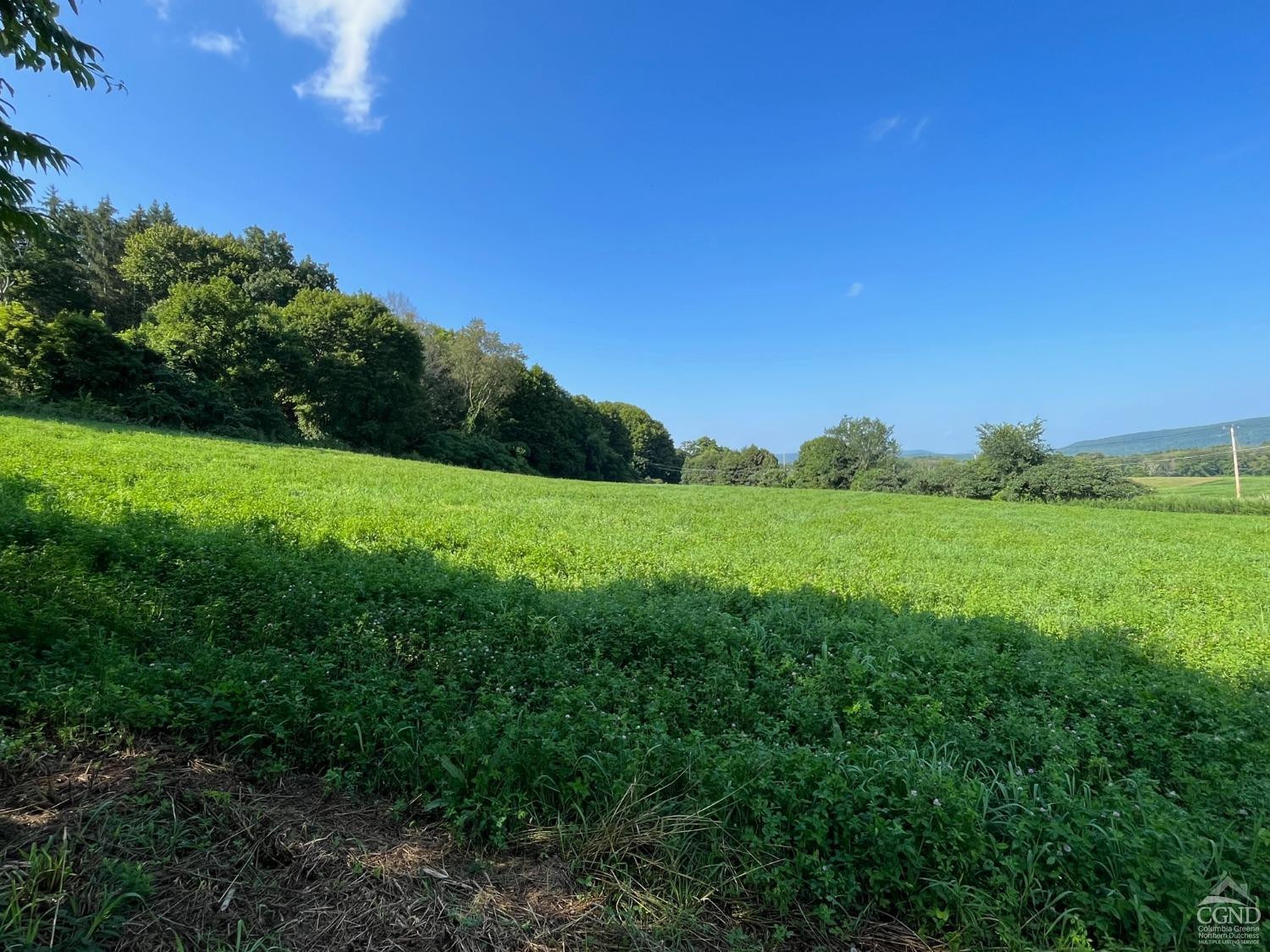 926 Smithfield Road Millerton, NY 12546 - Photo 19 of 27 a view of a grassy field with trees