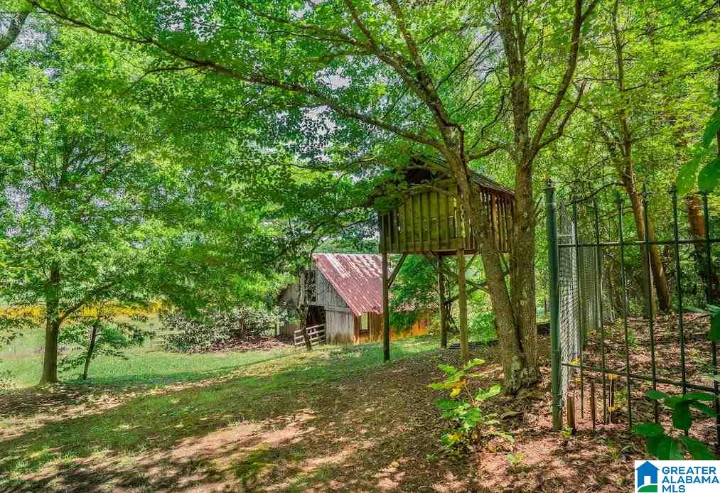 489 Old School Road Munford, AL 36268 - Photo 35 of 41