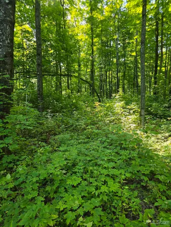 $45,000 | 12 Redridge Creek Road, Atlantic Mine, MI 49905
