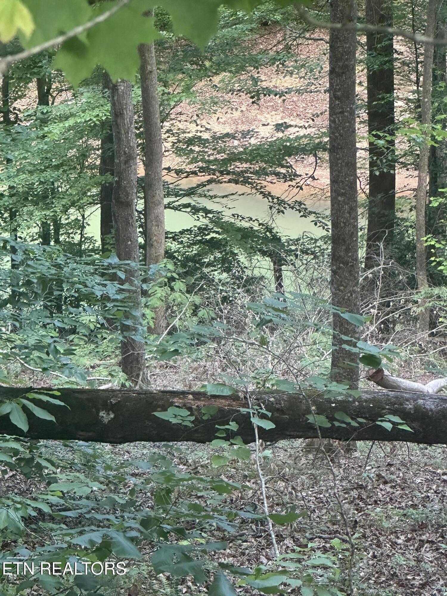 Hiwassee View Jacksboro, TN 37757 - Photo 1 of 16 jacksboro 11