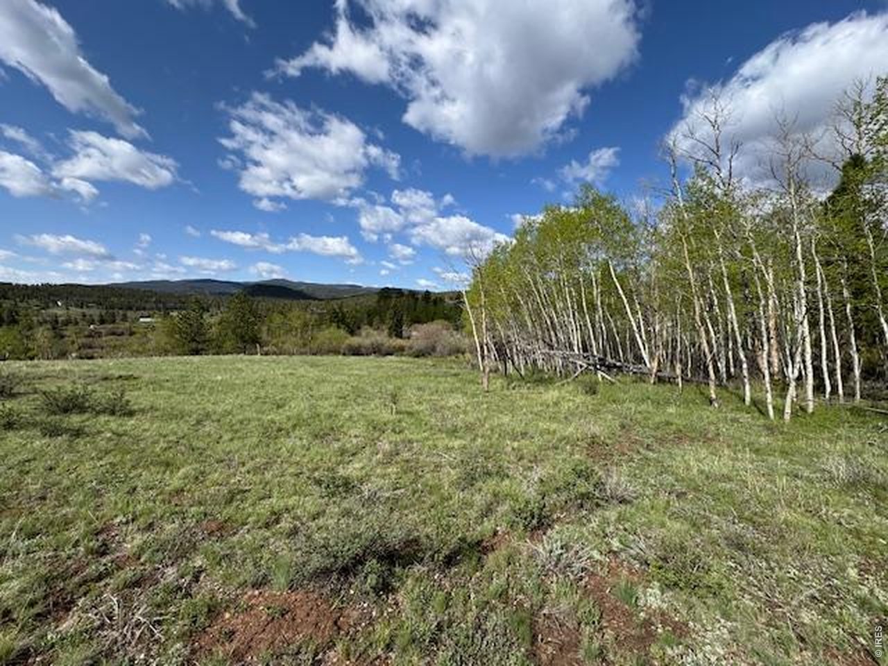 137 Cimarron Road Red Feather Lakes, CO 80545 - Photo 15 of 17 Gallery Image 15