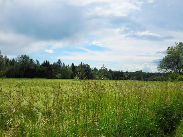 Lot 14 St Albans Road Corinna, ME 04928 - Photo 8 of 25 20180820205259321900000000-o