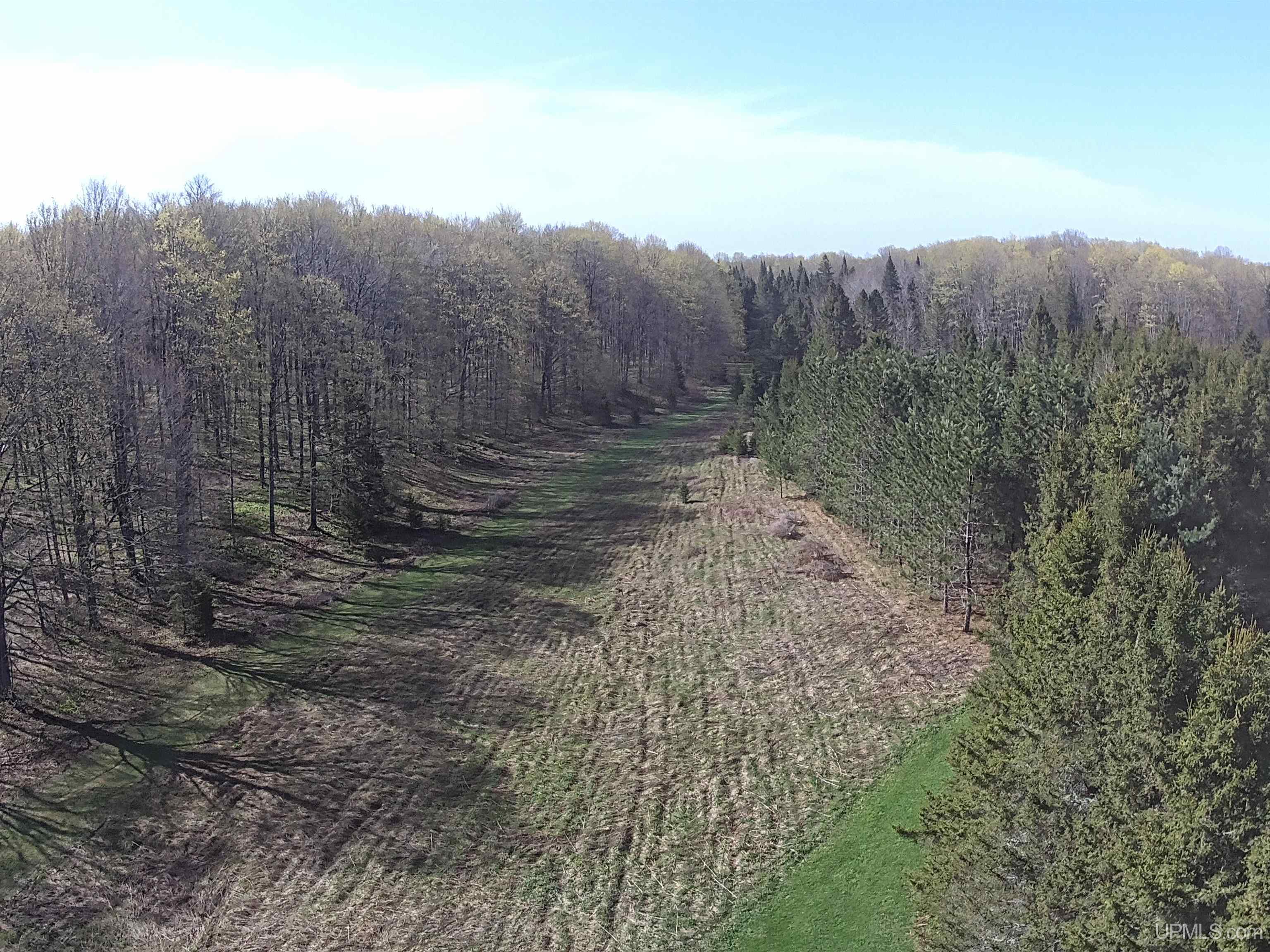 Tbd County H26 Road Rock, MI 49880 - Photo 12 of 20