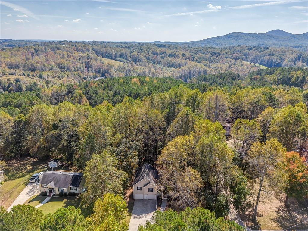 91 Little Doe Lane Jasper, GA 30143 - Photo 6 of 39