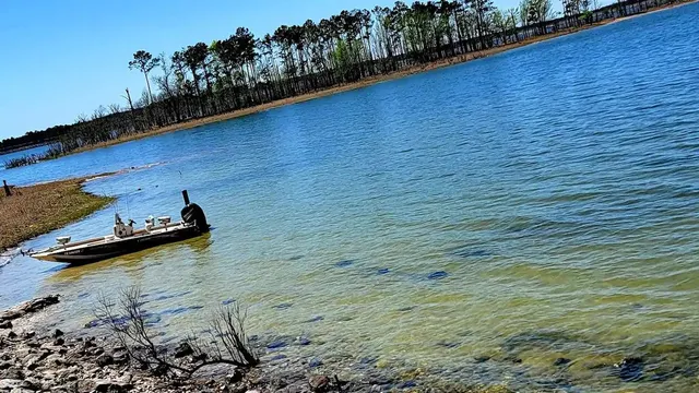 a kitchen with a sink appliances and cabinets