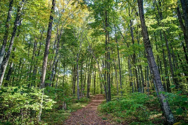 $549,900 | 6883 Little Long Lk Lane, Wabeno, WI 54566