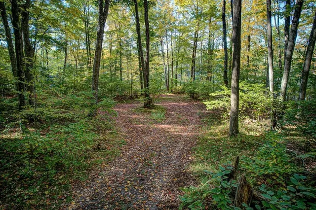 $549,900 | 6883 Little Long Lk Lane, Wabeno, WI 54566