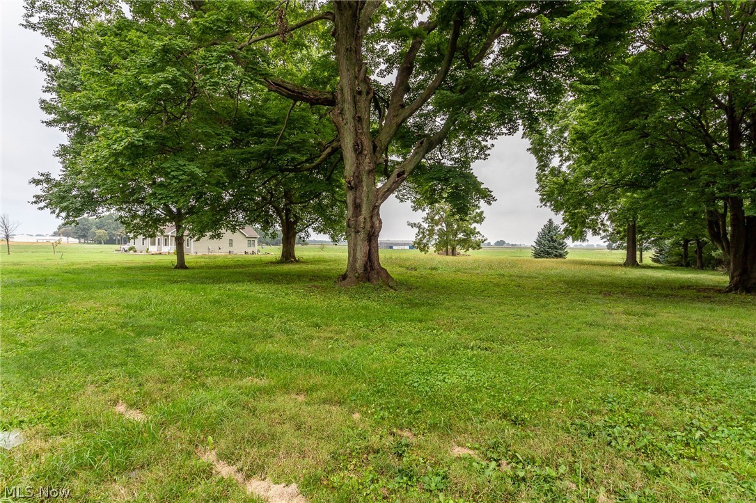 4410 Wood Road Monroeville, OH 44847 - Photo 6 of 13