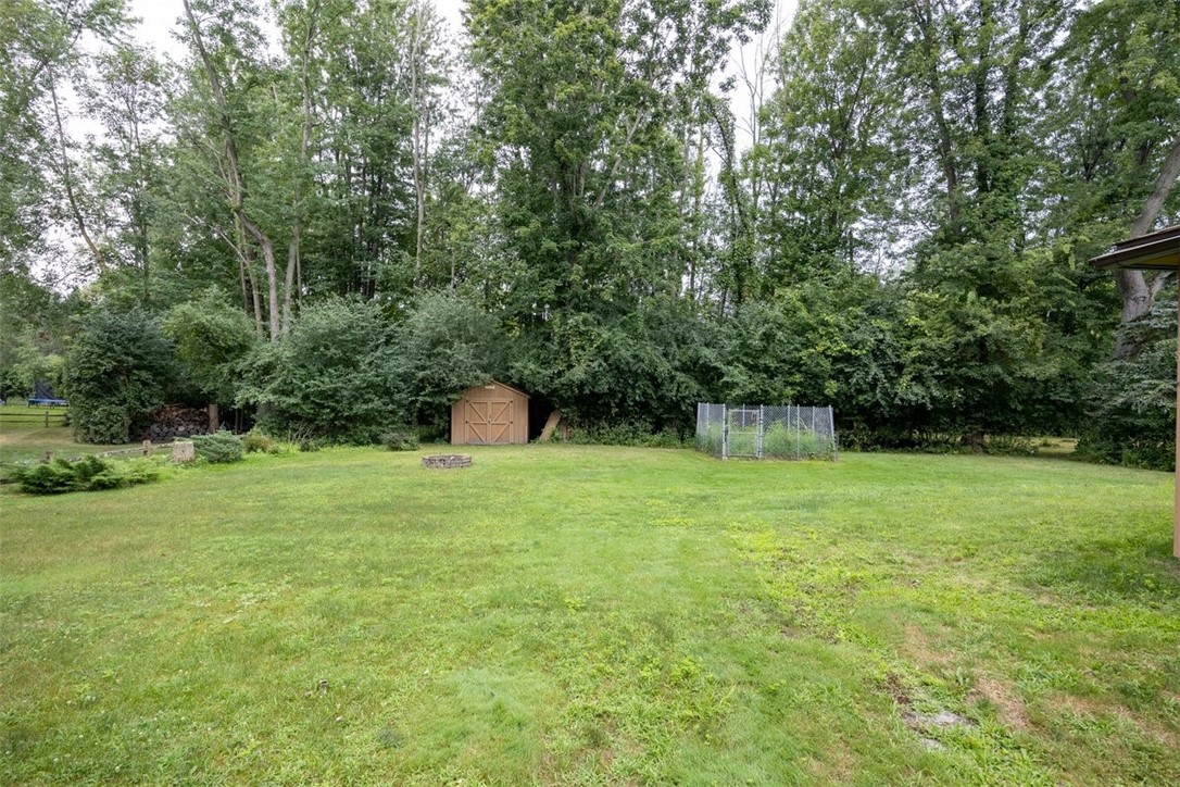 31 Buttonwood Lane Amherst, NY 14051 - Photo 33 of 33 Backyard