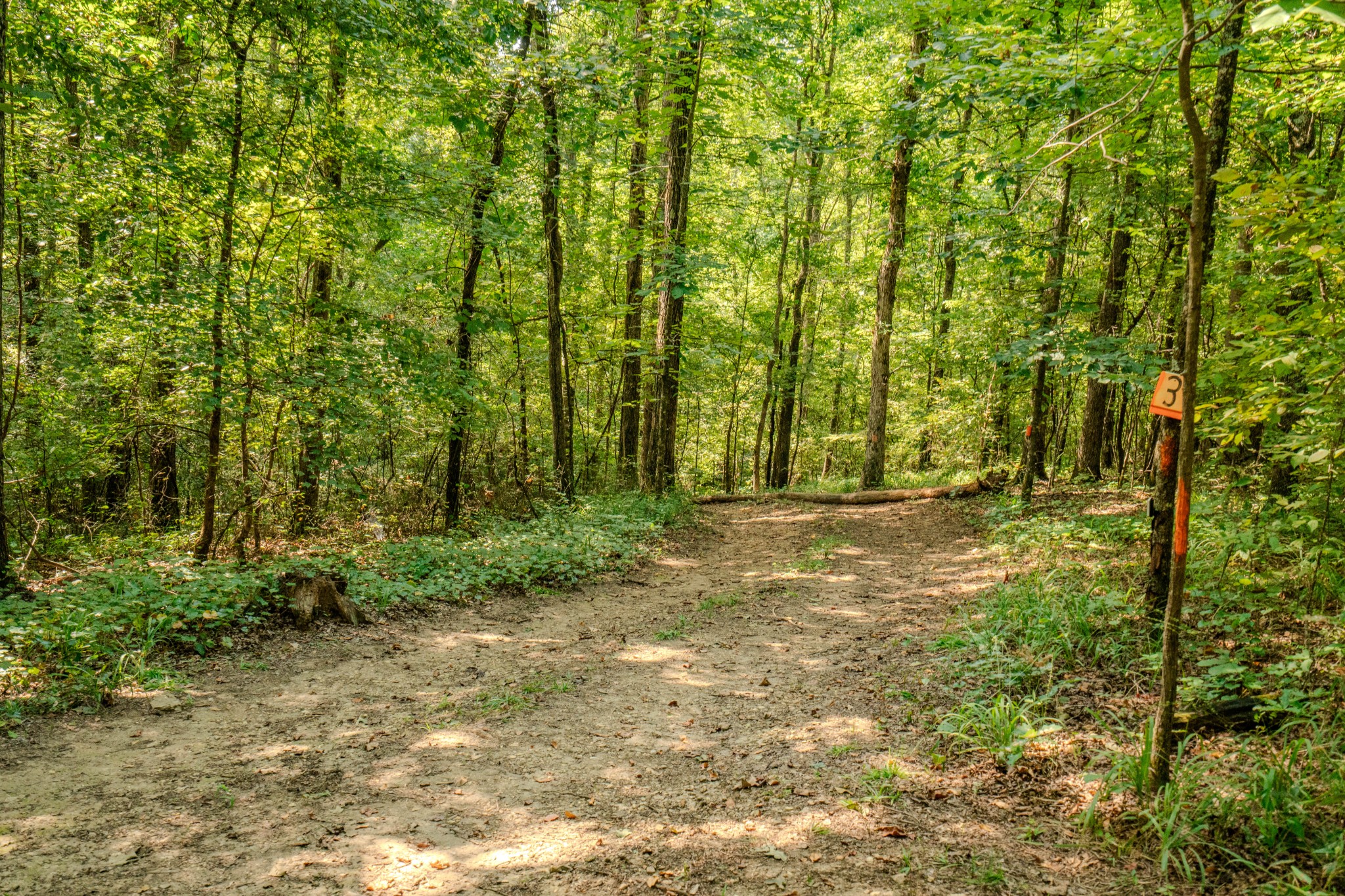 9270 Last Butler Creek Road Iron City, TN 38463 - Photo 33 of 86 Gallery Image 33