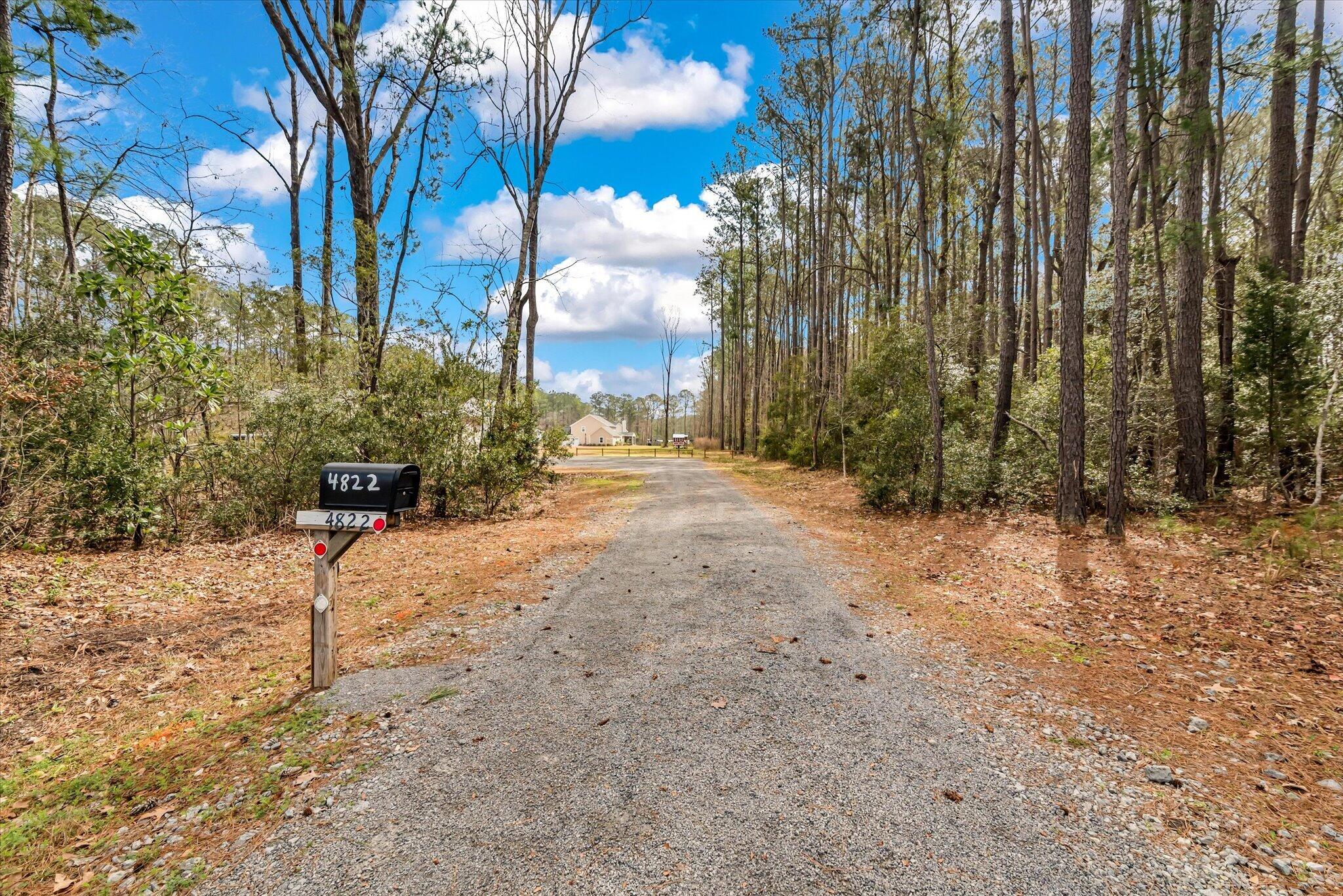 4822 Highway 41 Huger, SC 29450 - Photo 24 of 31 Private Driveway