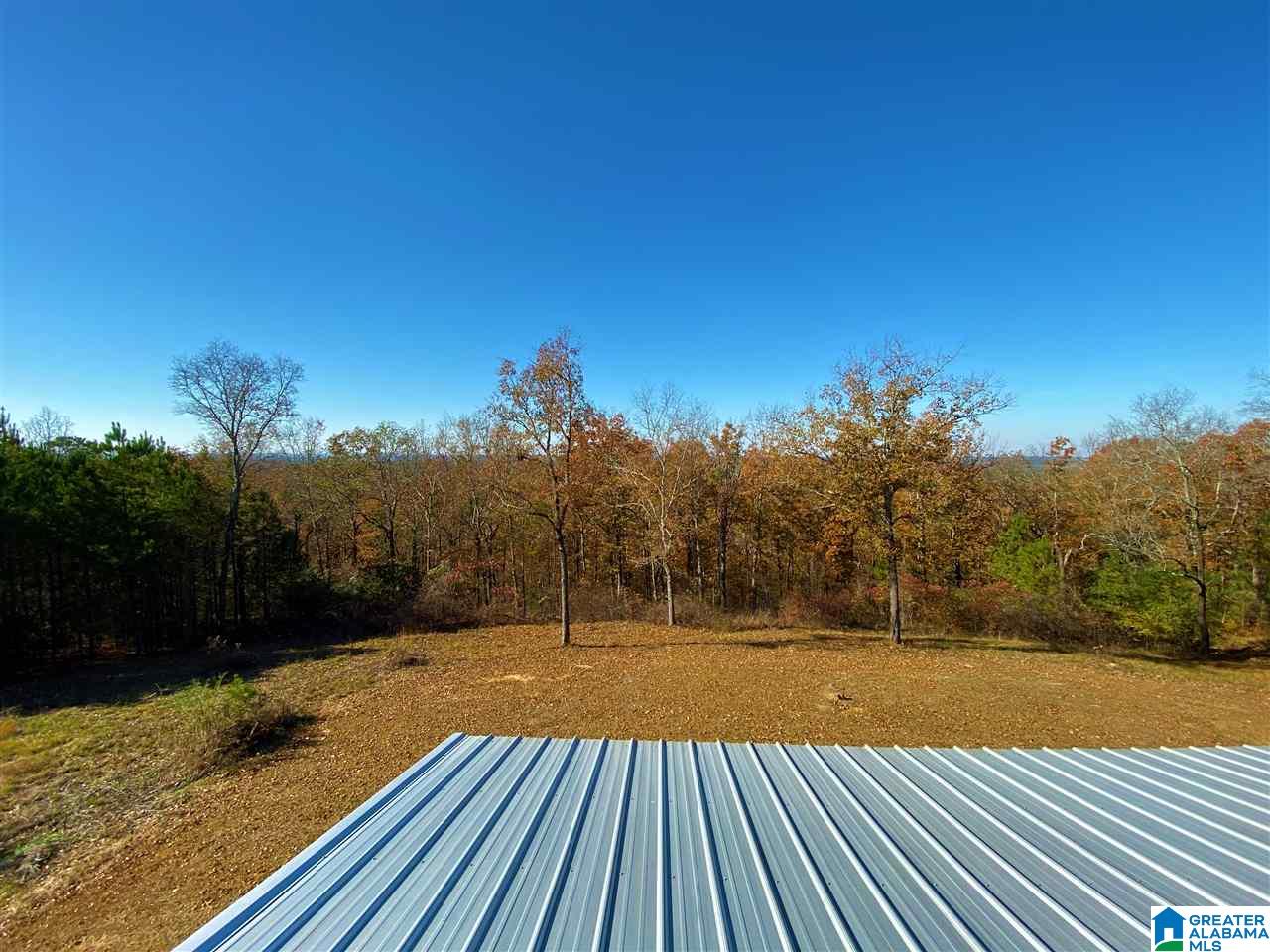 7541 Springer Road McCalla, AL 35111 - Photo 28 of 43