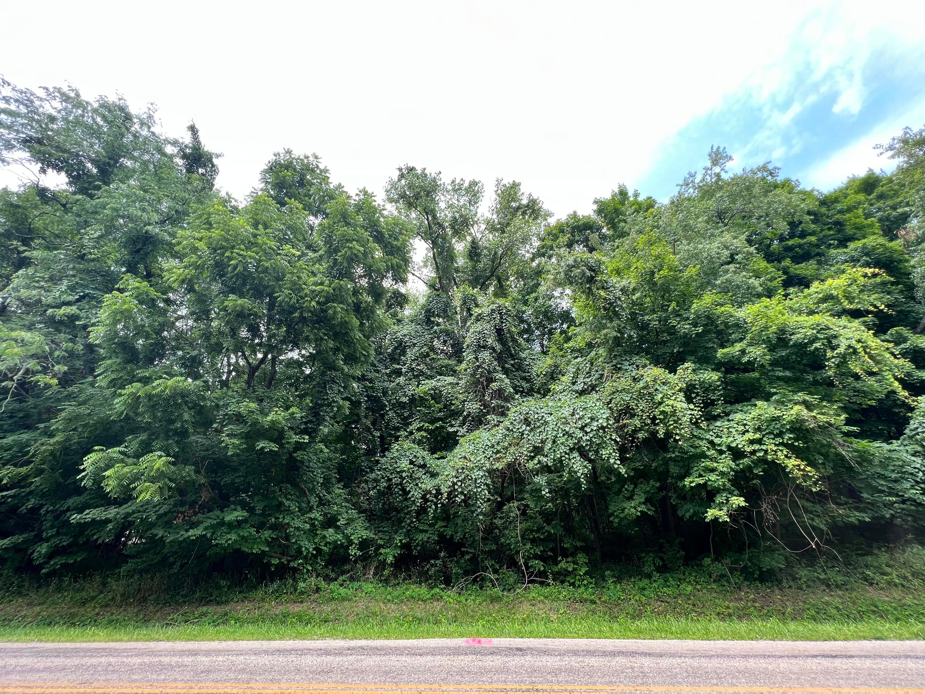 Lot 5 Royalton Road Southwest Lancaster, OH 43130 - Photo 12 of 12 10.07 Wooded Acres