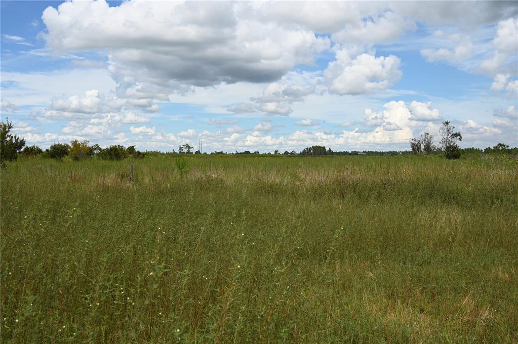 County Line Road East Fort Meade, FL 33841 - Photo 20 of 25