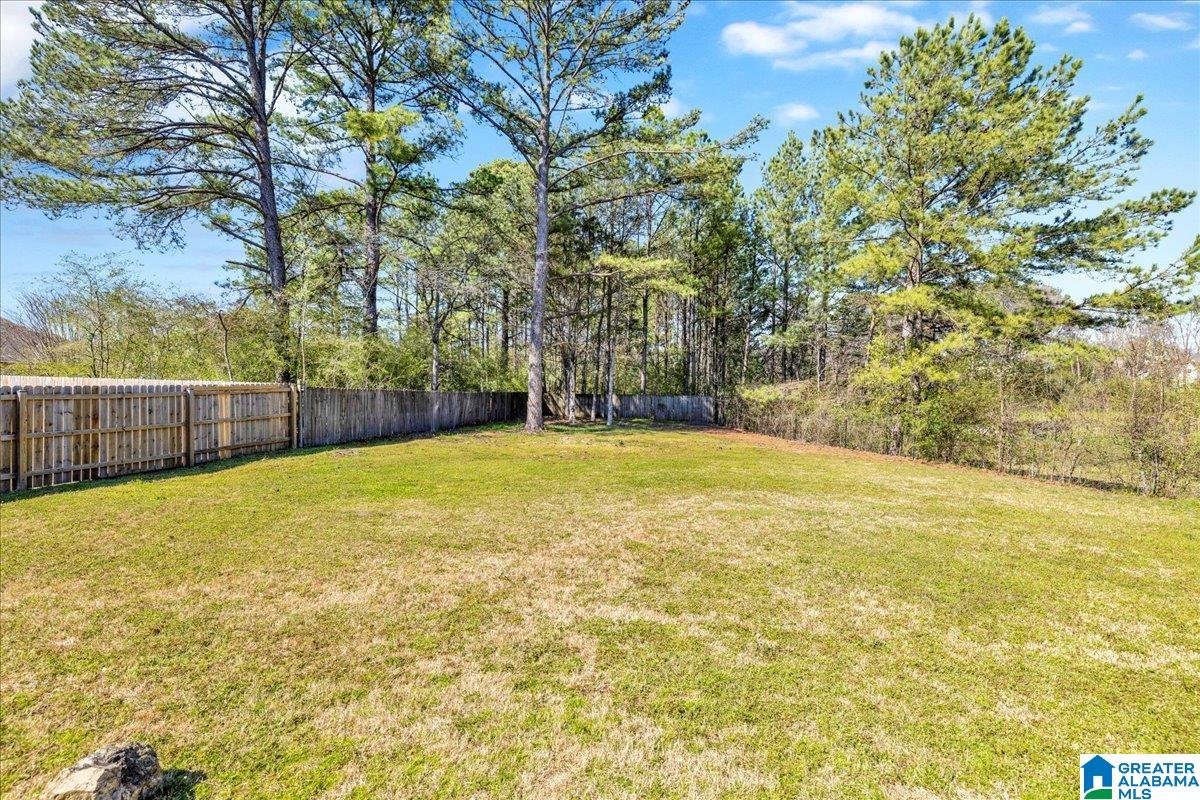 159 Pebble Lane Alabaster, AL 35007 - Photo 40 of 40