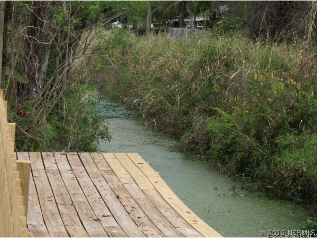 2429 Unity Tree Drive Edgewater, FL 32141 - Photo 21 of 24 a view of a backyard