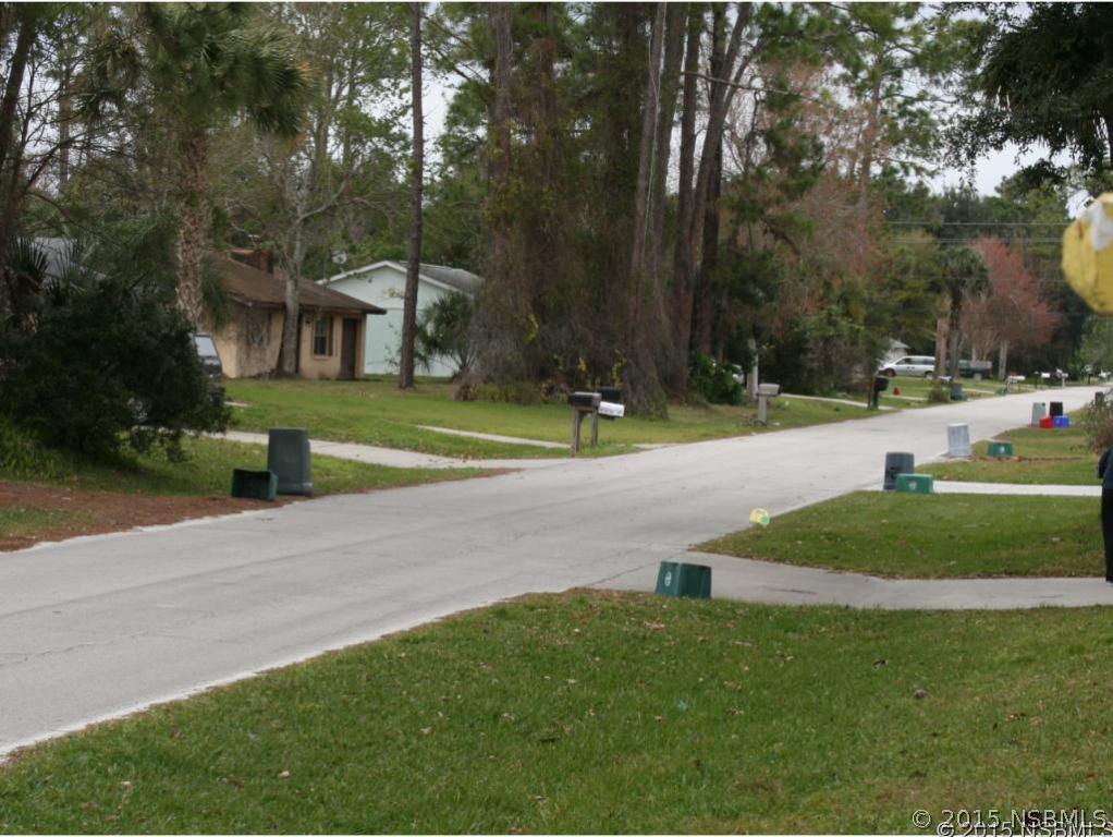 2429 Unity Tree Drive Edgewater, FL 32141 - Photo 24 of 24 a view of a park