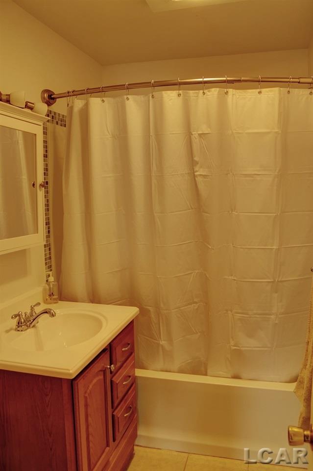 1412 Moore Road Adrian, MI 49221 - Photo 10 of 21 Full Bath
