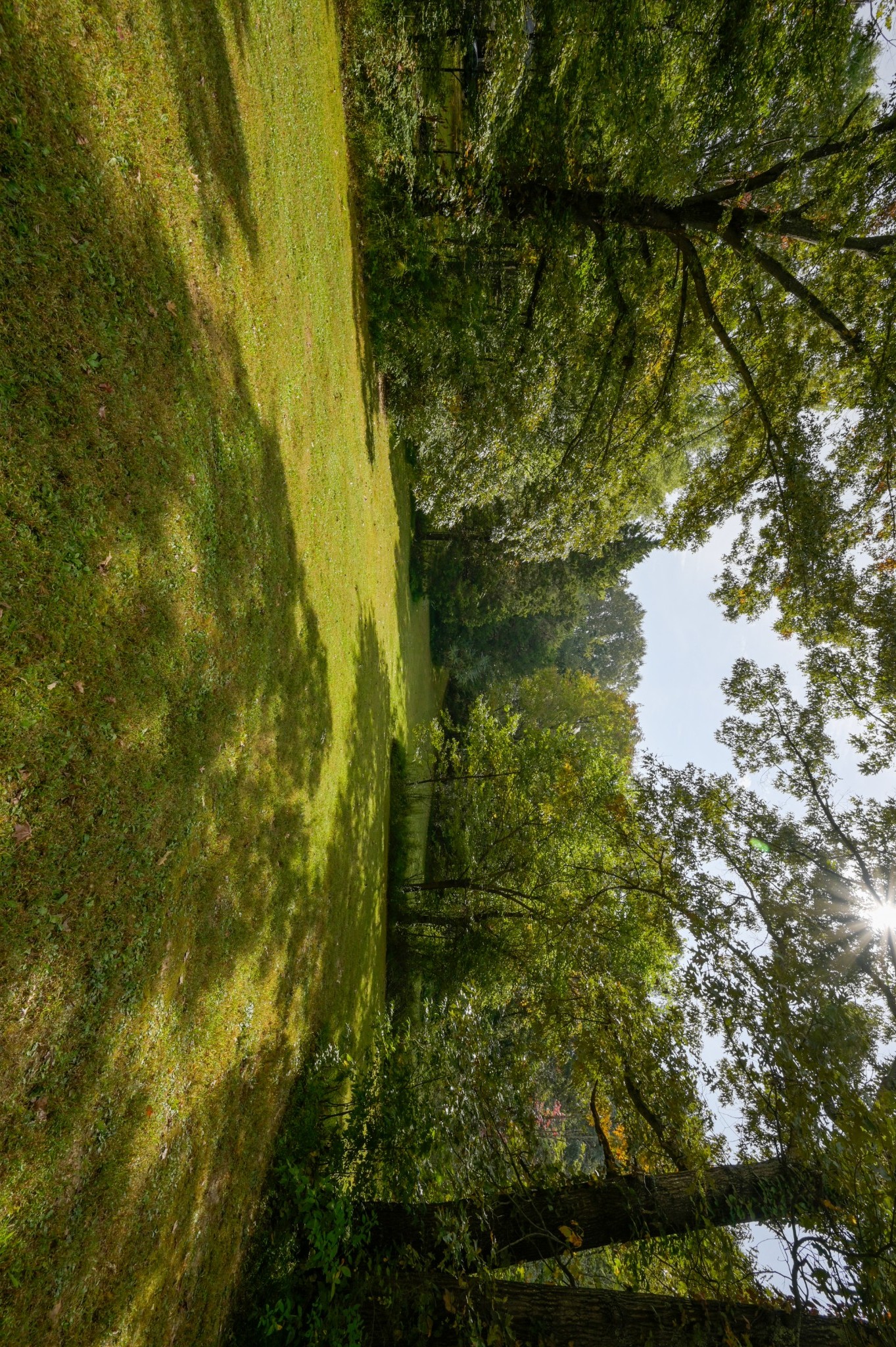 2021 Jack Teasley Road Pleasant View, TN 37146 - Photo 5 of 17 a view of a lake view