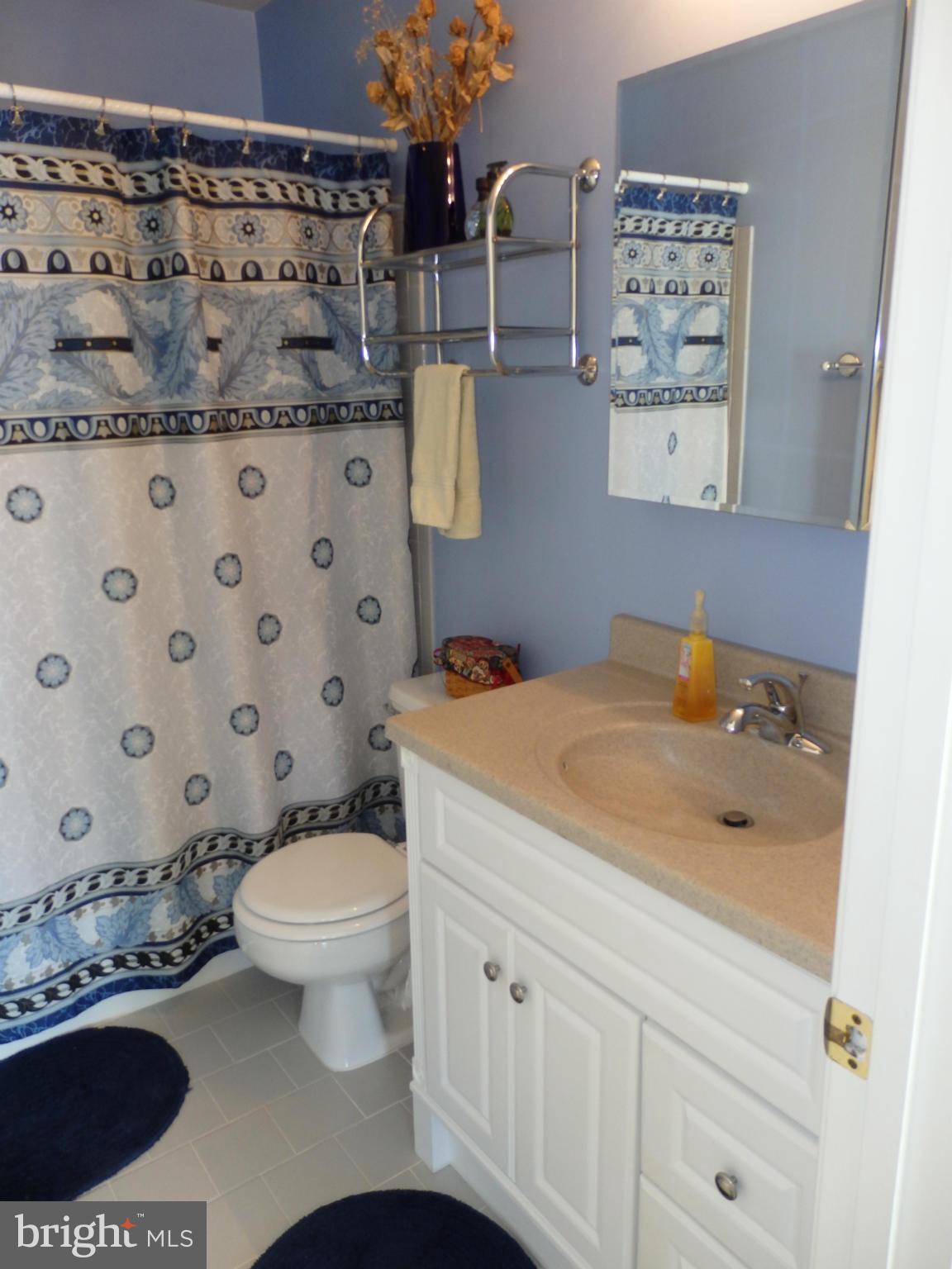 4950 Jalmia Road Mount Airy, MD 21771 - Photo 22 of 30 Full hall bath