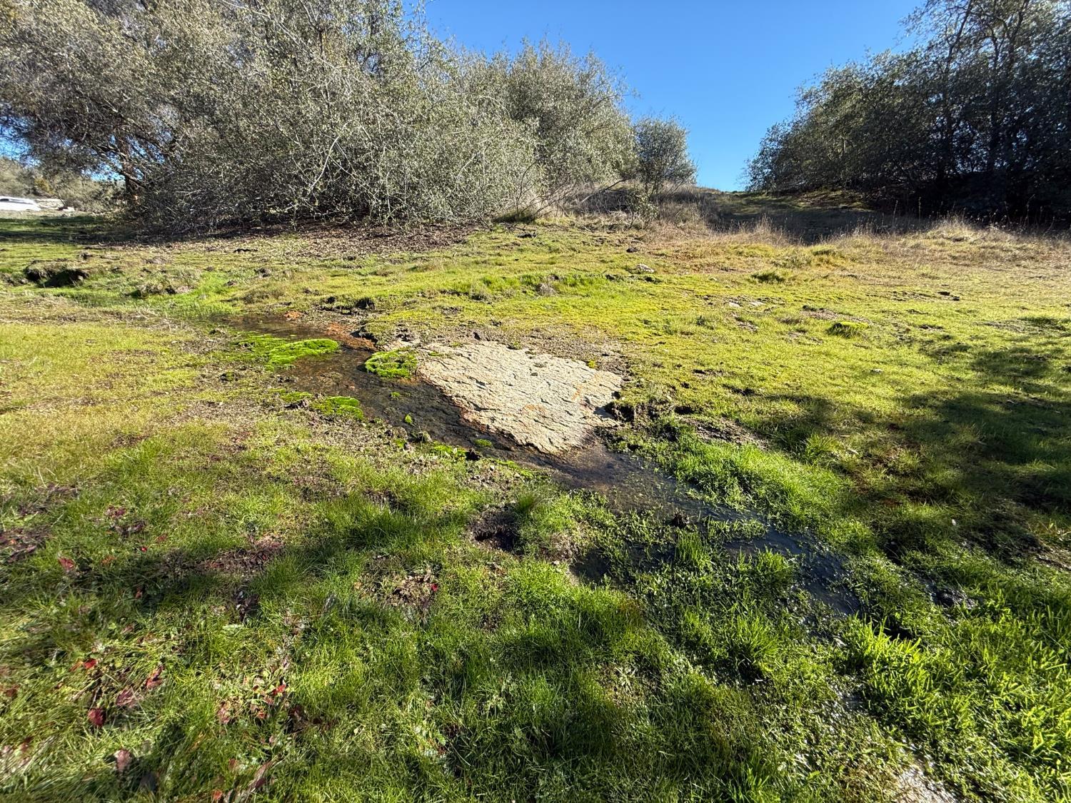 0 Flying O Ranch Road Coarsegold, CA 93645 - Photo 7 of 24