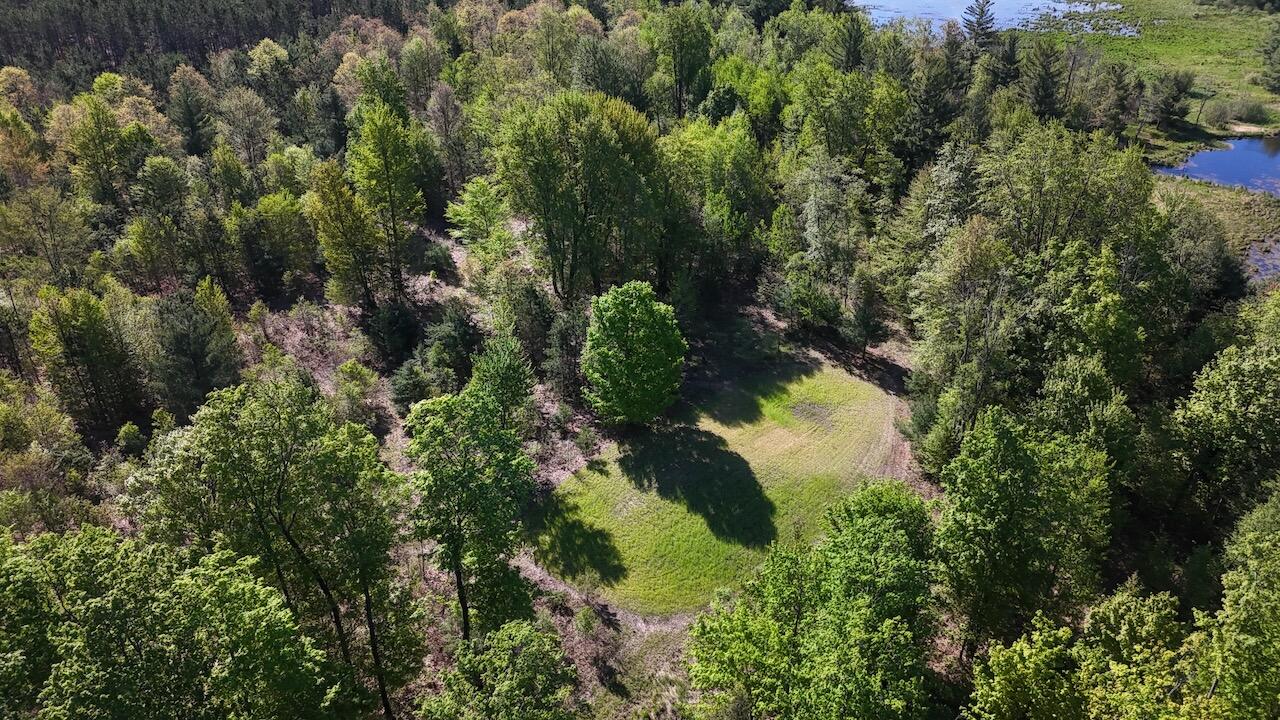 11547 1 Mile Road Leroy, MI 49655 - Photo 50 of 73 38_