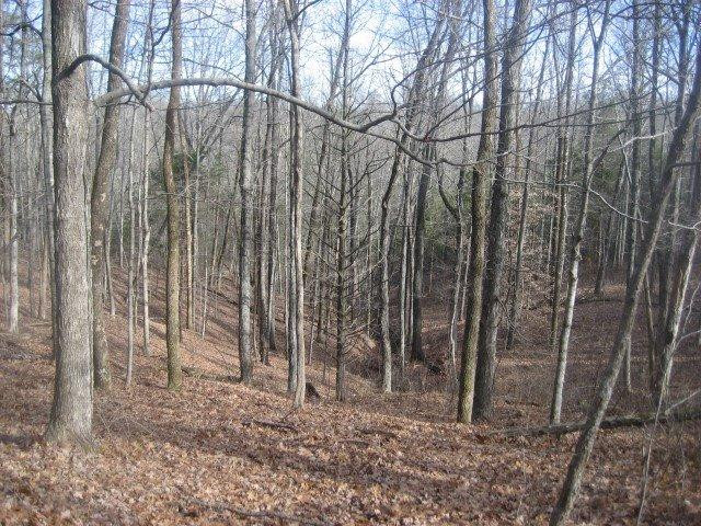 1370 Mays Road Lawrenceburg, KY 40342 - Photo 9 of 24 Photo 9