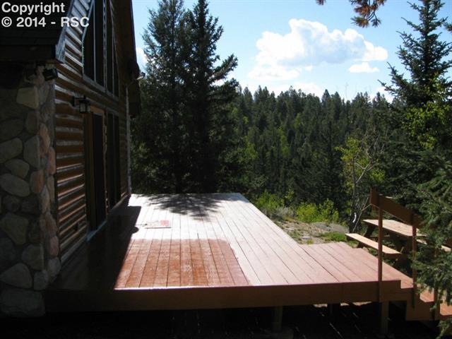 352 Spruce Creek Road Divide, CO 80814 - Photo 9 of 21 Gallery Image 9