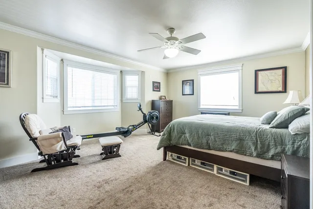 a living room with a bed furniture and a window