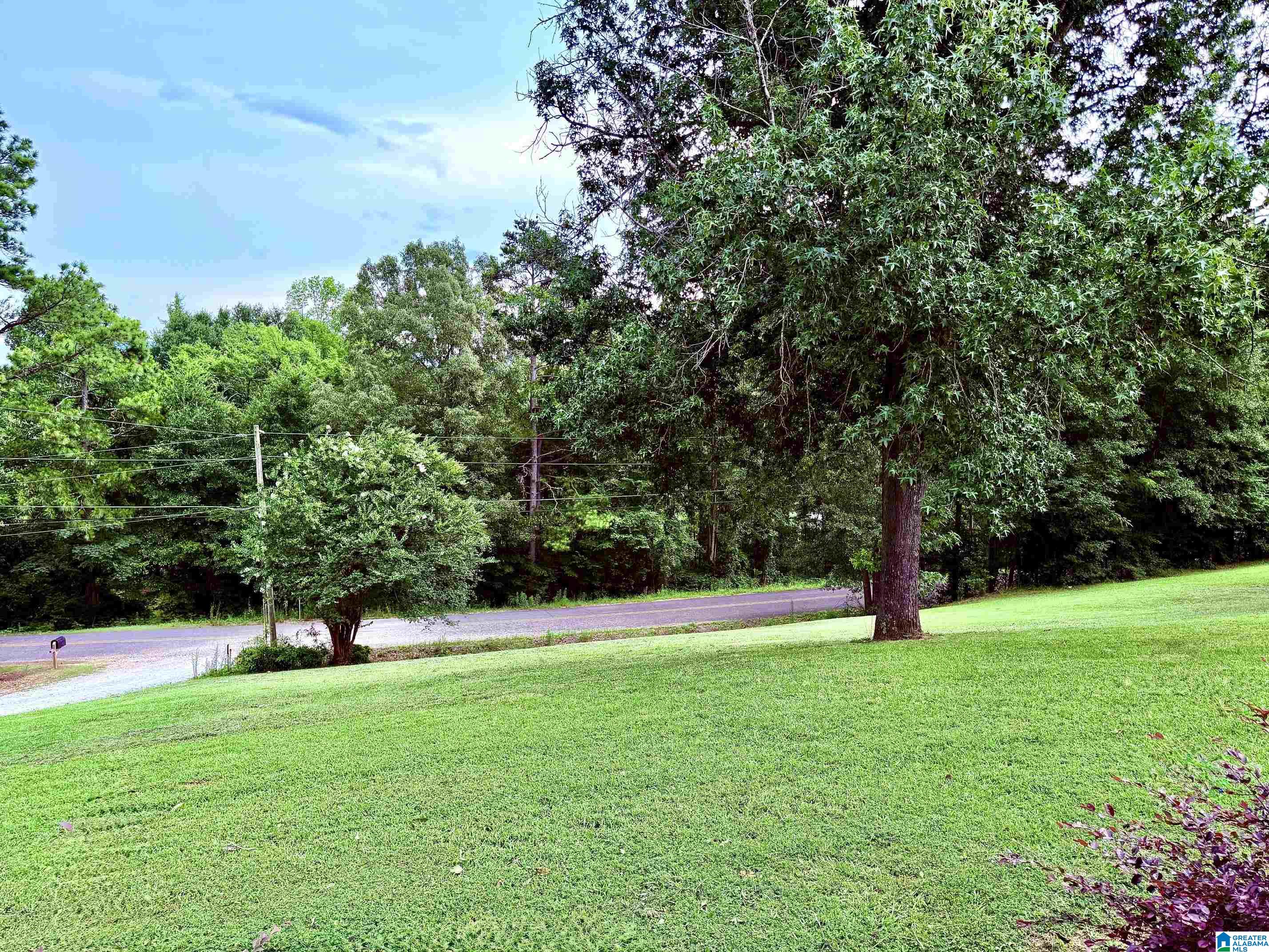 785 Shady Grove Road Piedmont, AL 36272 - Photo 62 of 70