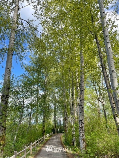 3010 34th Place Everett, WA 98201 - Photo 37 of 39 a view of a forest with trees