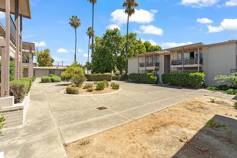 a view of a backyard with a garden and plants