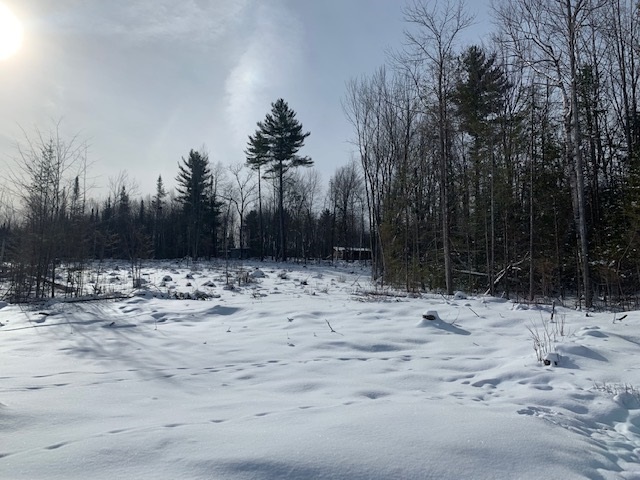 Lot 3 South Whitefield Road Whitefield, NH 03598 - Photo 2 of 6