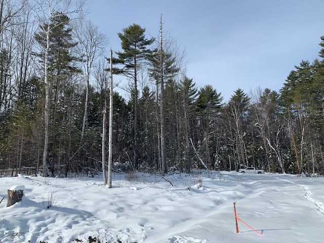 Lot 3 South Whitefield Road Whitefield, NH 03598 - Photo 3 of 6