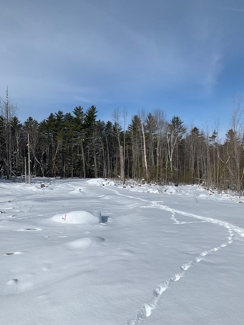 Lot 3 South Whitefield Road Whitefield, NH 03598 - Photo 5 of 6